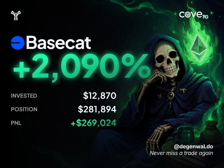 Reaper’s original cove Basecat PNL card: +2,090%, +$269,024.