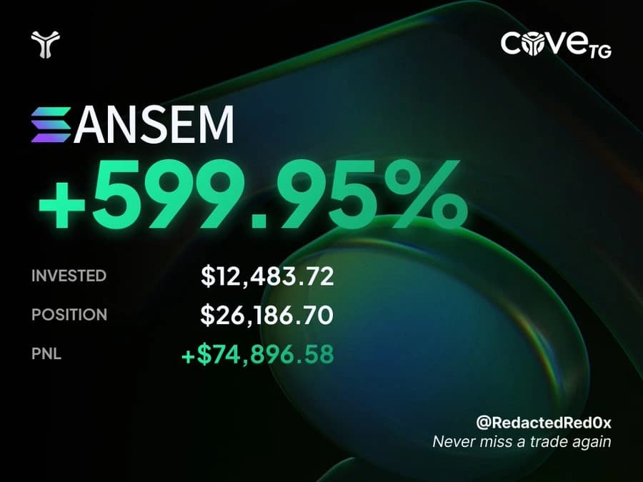 RED’s original cove ANSEM PNL card: +599.95%, +$74,896.58.